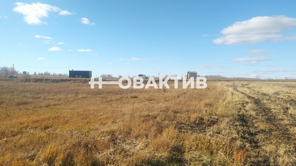
  Продается земельный участок, 970 соток, село Новопичугово
. Фото 10.