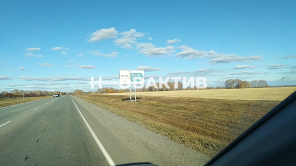 
  Продается земельный участок, 970 соток, село Новопичугово
. Фото 11.