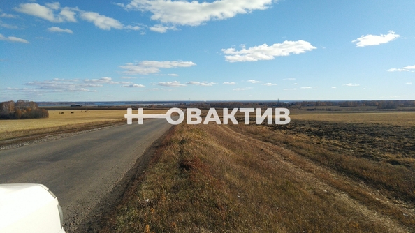 
  Продается земельный участок, 970 соток, село Новопичугово
. Фото 12.