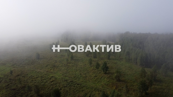 
  Продается земельный участок, 1700 соток, СНТ Луговое
. Фото 2.