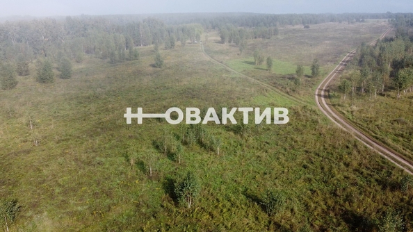 
  Продается земельный участок, 1700 соток, СНТ Луговое
. Фото 3.