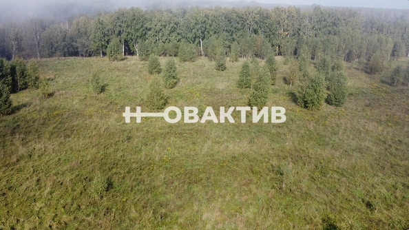 
  Продается земельный участок, 1700 соток, СНТ Луговое
. Фото 4.