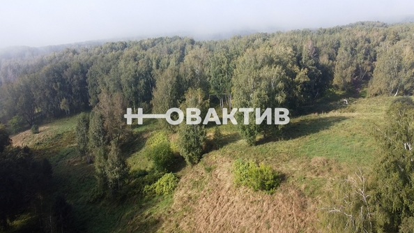 
  Продается земельный участок, 1700 соток, СНТ Луговое
. Фото 6.
