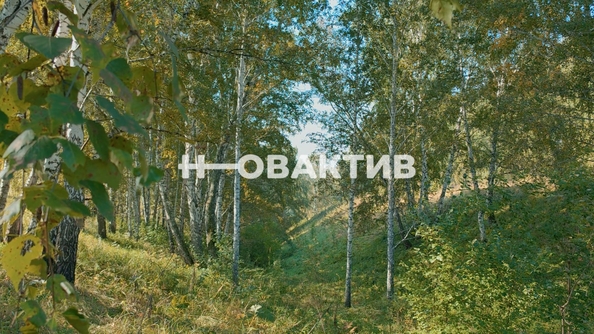 
  Продается земельный участок, 1700 соток, СНТ Луговое
. Фото 15.