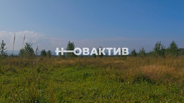 
  Продается земельный участок, 1700 соток, СНТ Луговое
. Фото 16.