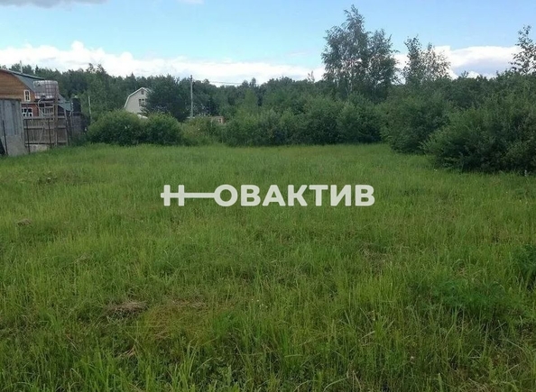 
  Продается земельный участок, 270 соток, коттеджный поселок Клевер
. Фото 1.