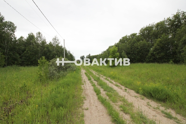 
  Продается земельный участок, 11.08 соток, посёлок Новониколаевский
. Фото 7.
