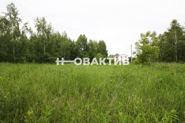 
  Продается земельный участок, 11.08 соток, посёлок Новониколаевский
. Фото 21.