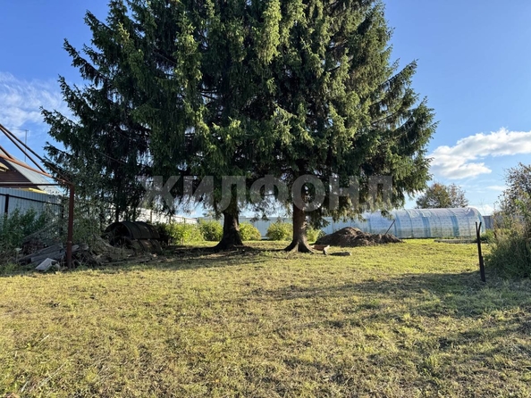 
  Продается дом, 35.5 м², поселок Каменушка
. Фото 4.