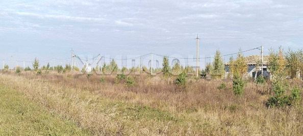 
  Продается земельный участок, 10 соток, рабочий поселок Колывань
. Фото 7.