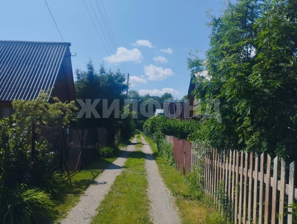 
  Продается земельный участок, 3.96 сотки, рабочий поселок Краснообск
. Фото 5.