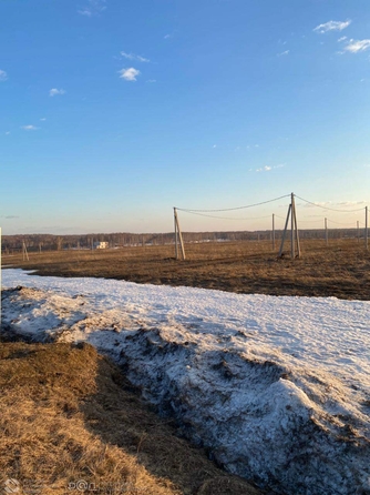 
  Продается земельный участок, 50.34 соток, село Сокур
. Фото 1.