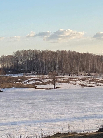 
  Продается земельный участок, 56.75 соток, село Сокур
. Фото 1.