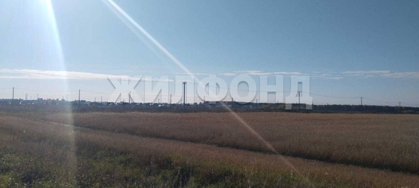 
  Продается земельный участок, 10 соток, рабочий поселок Колывань
. Фото 4.