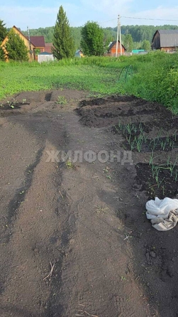 
  Продается земельный участок, 14.46 соток, поселок Шуринский
. Фото 1.