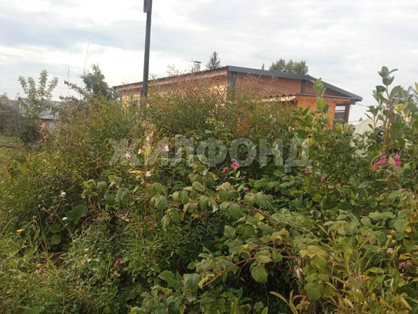 
  Продается дача, 28 м², СНТ Инской узел (Первомайский р-н)
. Фото 9.