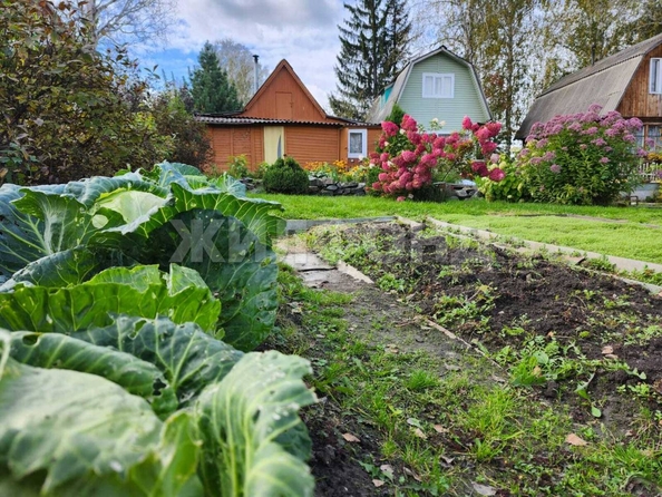 
  Продается дача, 45 м², СНТ Ромашка
. Фото 16.