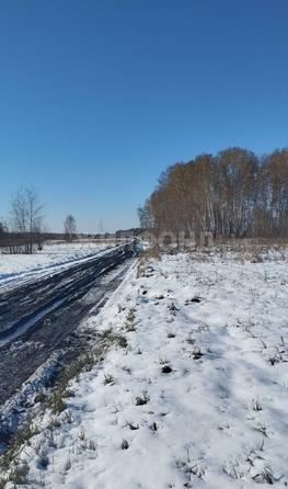 
  Продается земельный участок, 8 соток, СНТ Романтик
. Фото 1.