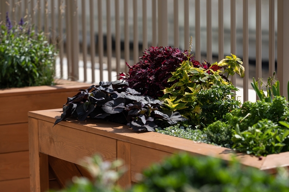 
  Продается 1-комн. квартира, 24.63 м², ЖК Balance (Баланс), 2 очередь
. Фото 14.