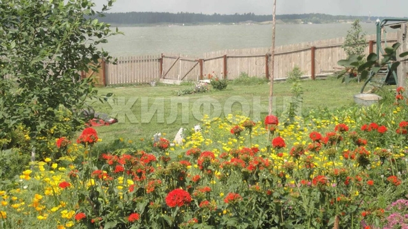 
  Продается земельный участок, 25 соток, село Чингис
. Фото 7.