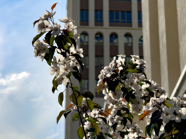 
  Продается 3-комн. квартира, 67.07 м², ЖК Balance (Баланс), 2 очередь
. Фото 13.