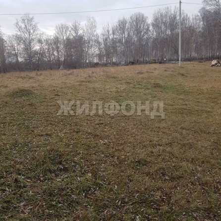 
  Продается земельный участок, 15 соток, деревня Пристань-Почта
. Фото 7.