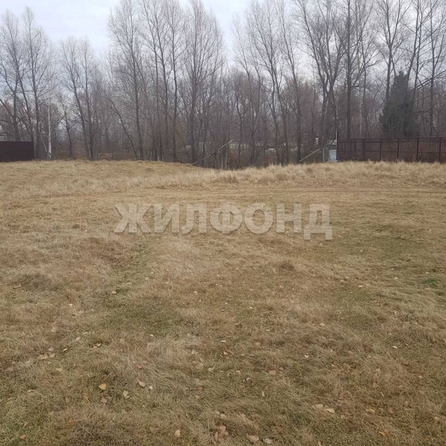 
  Продается земельный участок, 15 соток, деревня Пристань-Почта
. Фото 9.