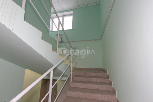 
  Сдается универсальное помещение 34.5 м². Фото 1.