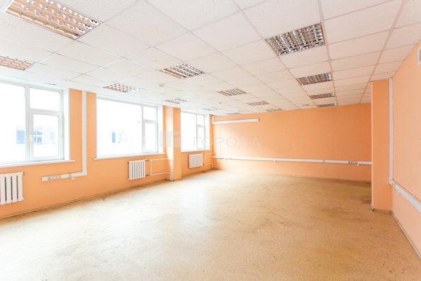 
  Сдается офис 54.9 м². Фото 1.