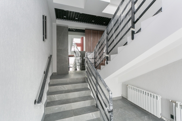
  Сдается универсальное помещение 1000 м². Фото 8.