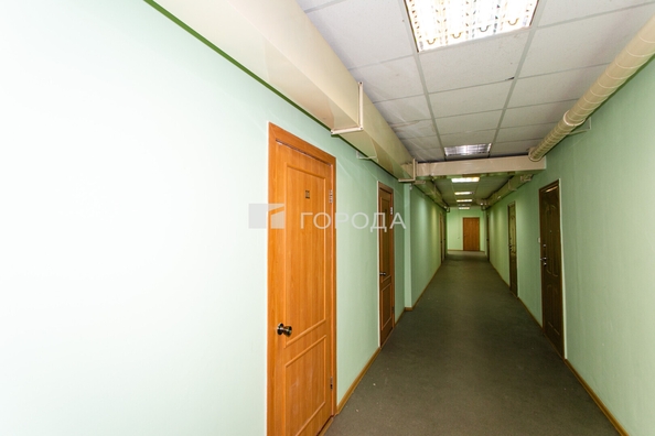 
  Сдается офис 427 м². Фото 21.