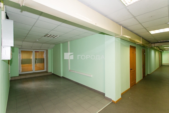 
  Сдается офис 427 м². Фото 22.