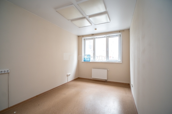 
  Сдается офис 220 м². Фото 21.