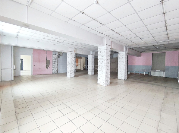 
  Сдается универсальное помещение 234 м². Фото 2.
