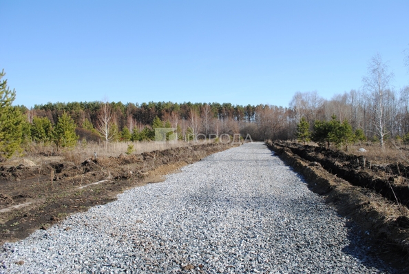 
  Продается земельный участок 6 соток. Фото 2.