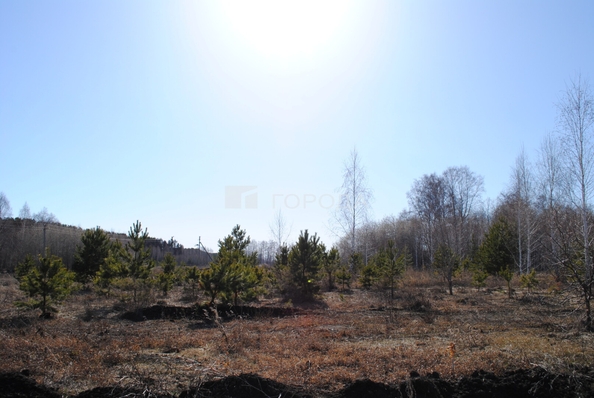 
  Продается земельный участок 6 соток. Фото 5.