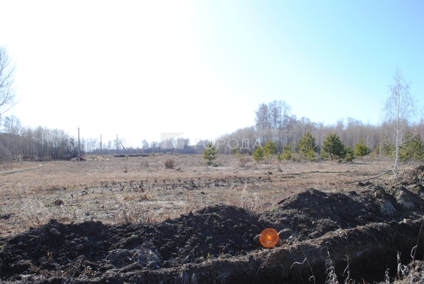 
  Продается земельный участок 6 соток. Фото 9.