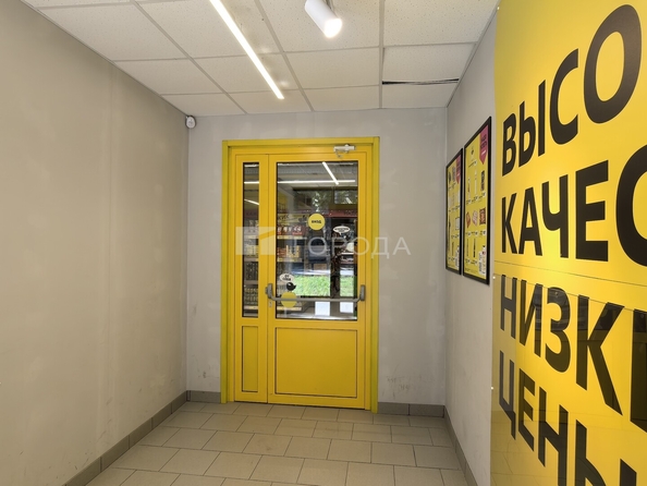 
  Продается универсальное помещение 498.6 м². Фото 7.