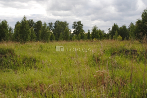 
  Продается земельный участок 1330.8 соток. Фото 4.