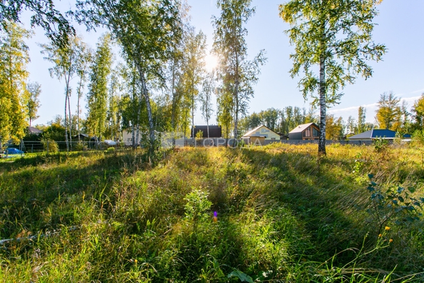 
  Продается земельный участок 8 соток. Фото 3.