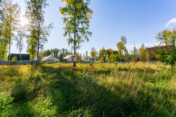 
  Продается земельный участок 8 соток. Фото 7.