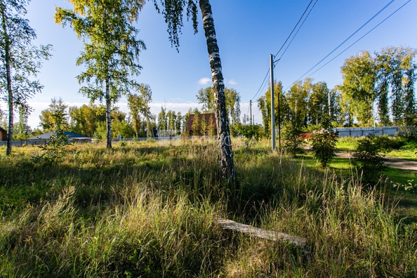 
  Продается земельный участок 8 соток. Фото 9.