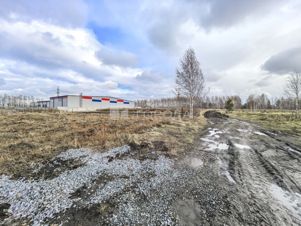 
  Продается земельный участок 6 соток. Фото 12.
