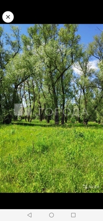 
  Продается земельный участок 9 соток. Фото 4.