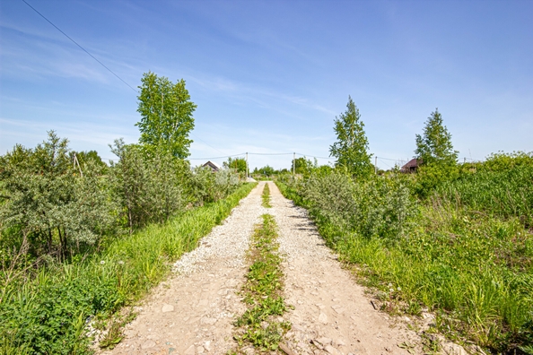 
  Продается земельный участок 10 соток. Фото 9.