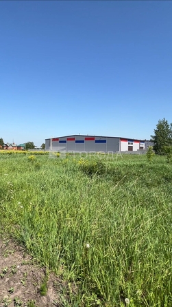 
  Продается земельный участок 6 соток. Фото 3.