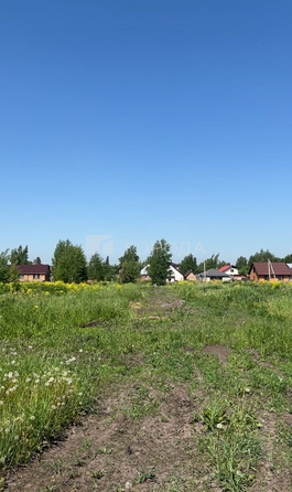 
  Продается земельный участок 6 соток. Фото 8.