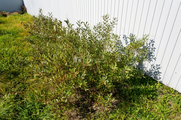 
  Продается земельный участок 10 соток, в КП Благодатный. Фото 26.