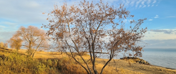 
  Продается земельный участок 8 соток. Фото 5.