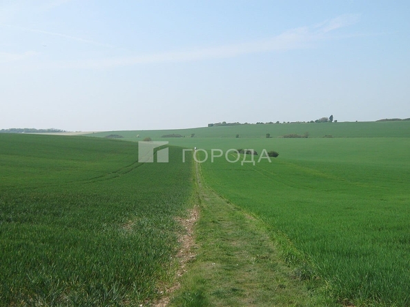 
  Продается земельный участок 4949.3 соток. Фото 5.